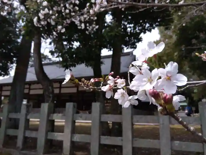 宗忠神社(京都府)