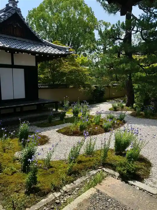 廬山寺(廬山天台講寺)(京都府)