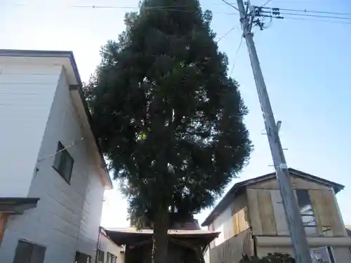 座頭稲荷(山形県)