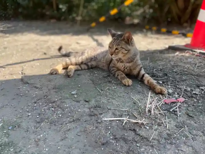 和泉國一之宮 大鳥大社の動物