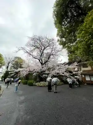 阿佐ヶ谷神明宮(東京都)