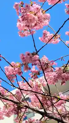 蔵前神社の景色