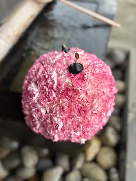 上尾御嶽神社の手水舎