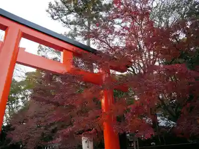 賀茂御祖神社(下鴨神社)の鳥居