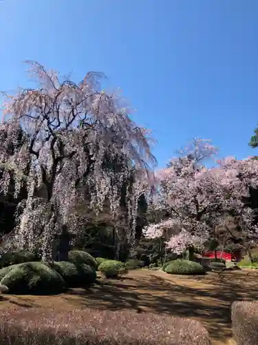 喜多院の庭園