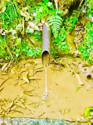 猿田神社のその他建物