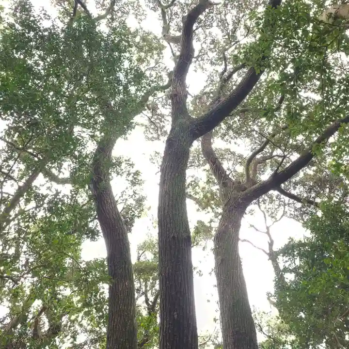 雙宮神社の自然