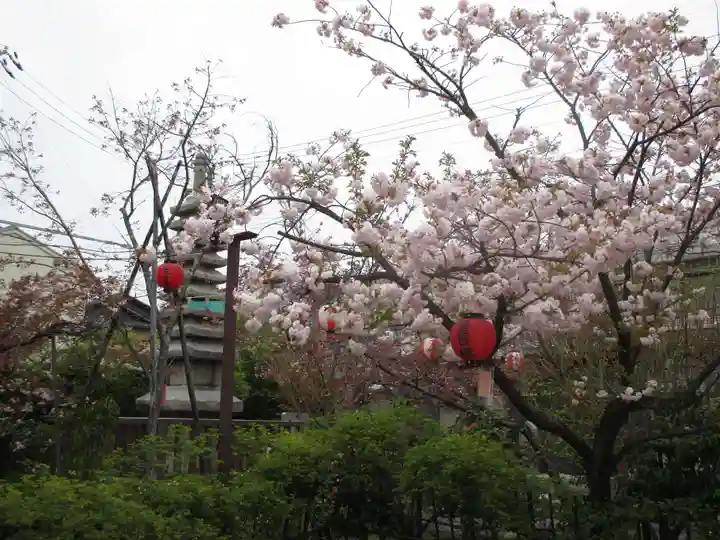 引接寺(千本ゑんま堂)の自然