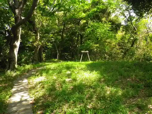 浄光明寺の自然