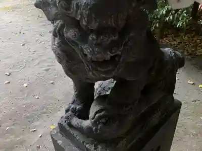 富岡八幡宮の狛犬