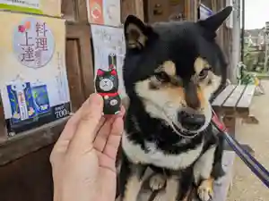日本唯一香辛料の神 波自加彌神社(石川県)(2023年04月19日(水) 13時16分41秒投稿)