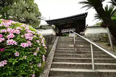 明王院(広島県)