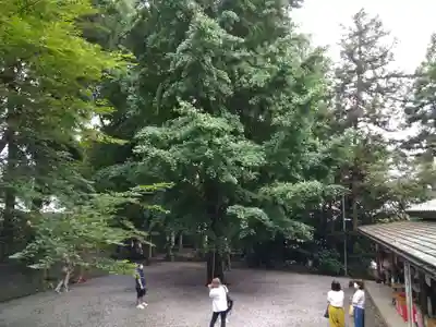 下野 星宮神社のその他建物
