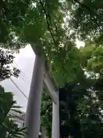 阿佐ヶ谷神明宮(東京都)