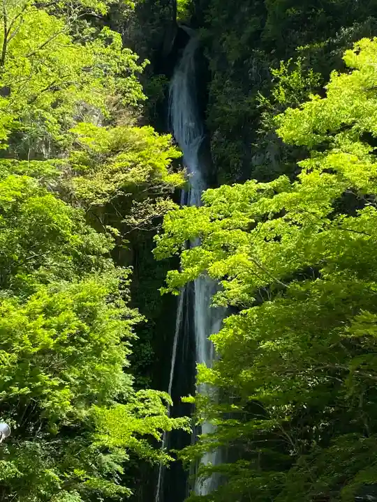 不動明王の周辺