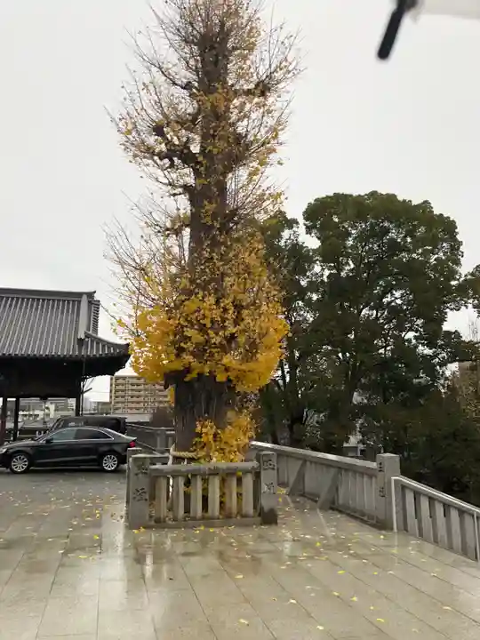 石清尾八幡宮の自然