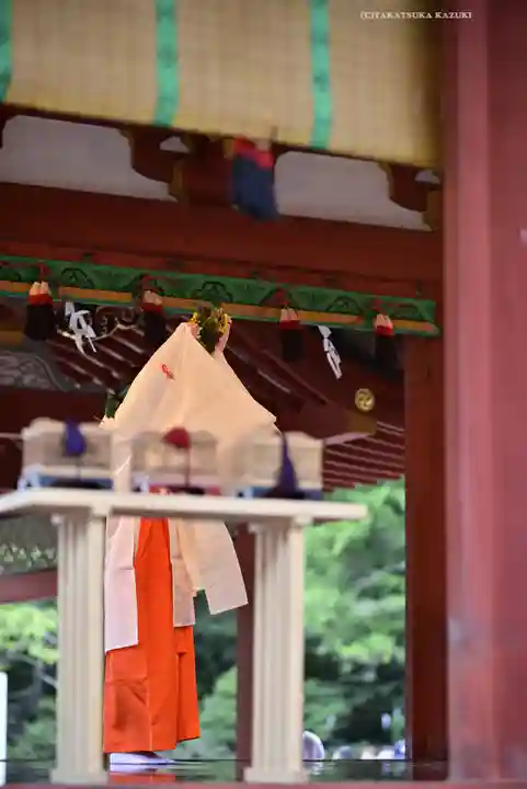 鶴岡八幡宮(神奈川県)