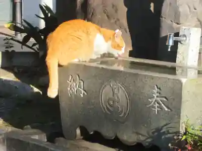 池袋水天宮(東京都)