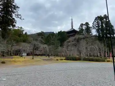 醍醐寺(上醍醐)(京都府)