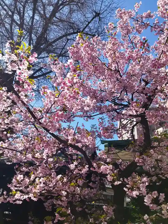 小野照崎神社(東京都)