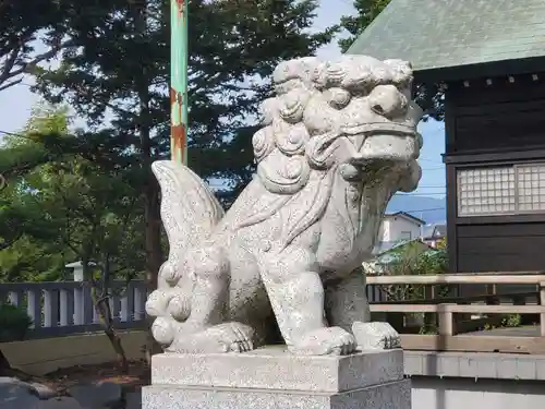 白老八幡神社の狛犬