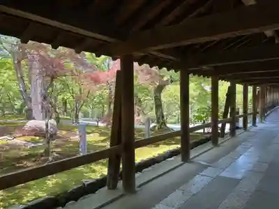 東福禅寺(東福寺)(京都府)