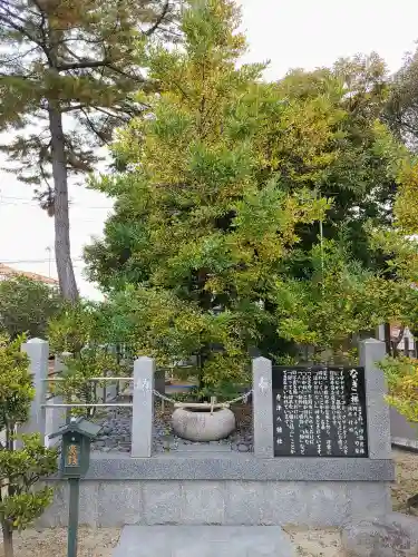 寺津八幡社（寺津町）の自然