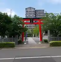 亀戸浅間神社の鳥居