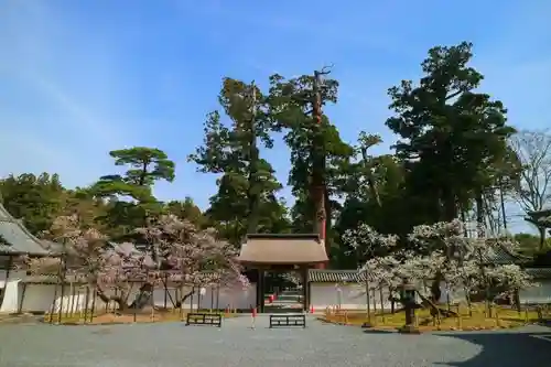 瑞巌寺の庭園