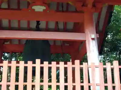 法輪寺(京都府)