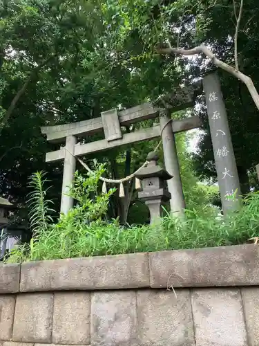 篠原八幡神社(神奈川県)