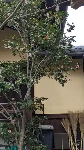 勝林寺(京都府)