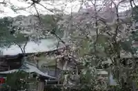 大寧寺(山口県)