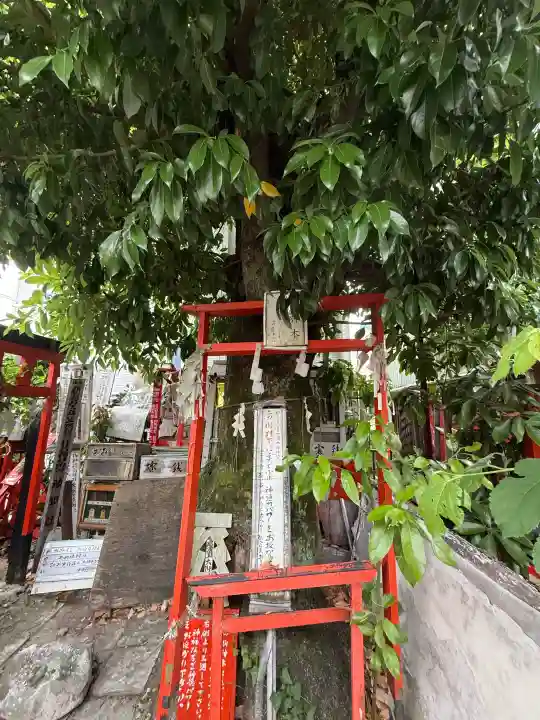 中浜稲荷神社の{uncategorized: "未分類", other: "その他", undefined: "問題あり", building: "その他建物", grave: "お墓", sacred_gate: "鳥居", guardian: "狛犬", statue: "像", buddha: "仏像", history: "歴史", nature: "自然", garden: "庭園", animal: "動物", pagoda: "塔", temizu: "手水舎", mountain_gate: "山門・神門", sanctuary: "本殿・本堂", subordinate: "末社・摂社", art: "芸術", scenery: "景色", jizo: "地蔵", ema: "絵馬", goshuin: "御朱印", omikuji: "おみくじ", items: "授与品その他", amulet: "お守り", goshuincho: "御朱印帳", eats: "食事", festival: "お祭り", votive_dance: "神楽", shichigosan: "七五三参", wedding: "結婚式", experience: "体験その他", initially: "初詣", around: "周辺", anti_infection: "感染症対策"}