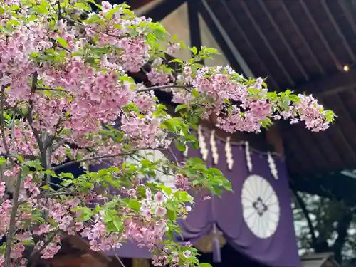 東京大神宮(東京都)