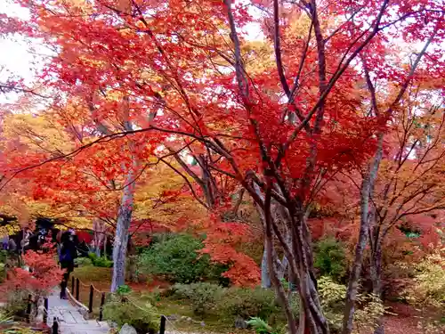 宝筐院(京都府)