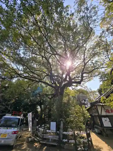 等乃伎神社の{uncategorized: "未分類", other: "その他", undefined: "問題あり", building: "その他建物", grave: "お墓", sacred_gate: "鳥居", guardian: "狛犬", statue: "像", buddha: "仏像", history: "歴史", nature: "自然", garden: "庭園", animal: "動物", pagoda: "塔", temizu: "手水舎", mountain_gate: "山門・神門", sanctuary: "本殿・本堂", subordinate: "末社・摂社", art: "芸術", scenery: "景色", jizo: "地蔵", ema: "絵馬", goshuin: "御朱印", omikuji: "おみくじ", items: "授与品その他", amulet: "お守り", goshuincho: "御朱印帳", eats: "食事", festival: "お祭り", votive_dance: "神楽", shichigosan: "七五三参", wedding: "結婚式", experience: "体験その他", initially: "初詣", around: "周辺", anti_infection: "感染症対策"}