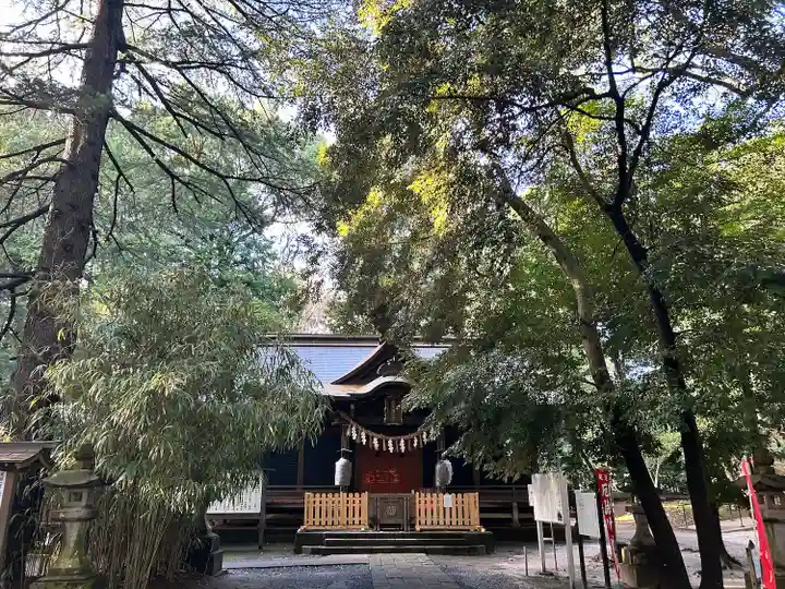 氷川女體神社(埼玉県)