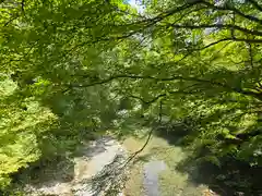 西明寺(京都府)