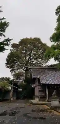 中川氷川神社のその他建物