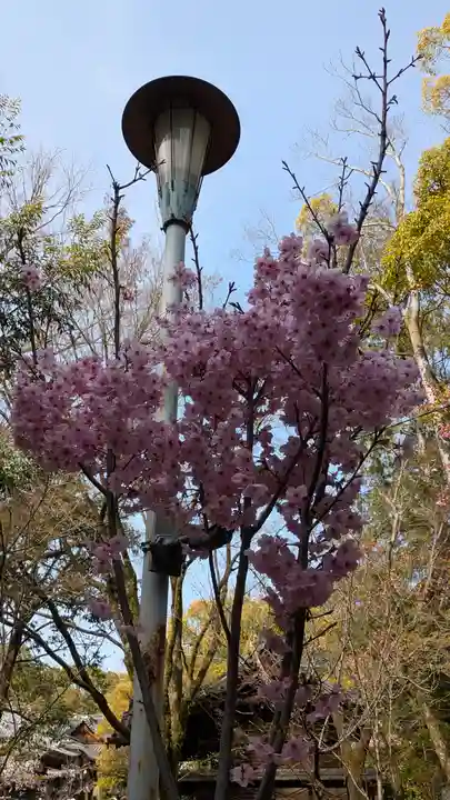向日神社(京都府)