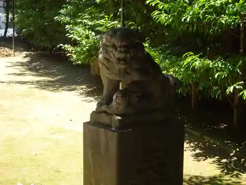 富岡八幡宮の狛犬