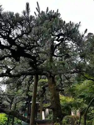 目の霊山 油山寺(静岡県)
