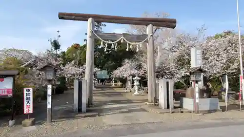 鎌数伊勢大神宮の鳥居