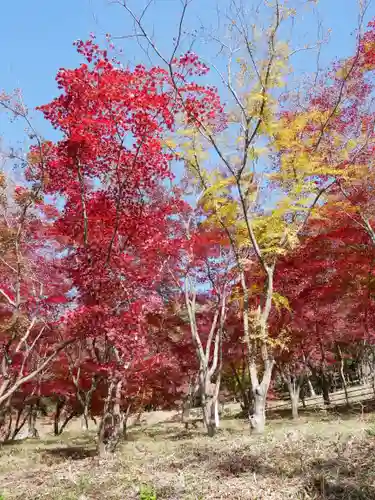 足利織姫神社の景色