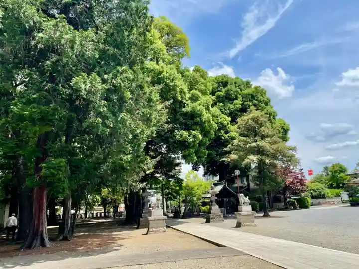 東村山八坂神社(東京都)