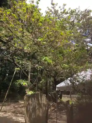 伊佐須美神社(福島県)