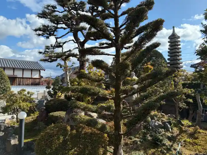 大松禅寺の{uncategorized: "未分類", other: "その他", undefined: "問題あり", building: "その他建物", grave: "お墓", sacred_gate: "鳥居", guardian: "狛犬", statue: "像", buddha: "仏像", history: "歴史", nature: "自然", garden: "庭園", animal: "動物", pagoda: "塔", temizu: "手水舎", mountain_gate: "山門・神門", sanctuary: "本殿・本堂", subordinate: "末社・摂社", art: "芸術", scenery: "景色", jizo: "地蔵", ema: "絵馬", goshuin: "御朱印", omikuji: "おみくじ", items: "授与品その他", amulet: "お守り", goshuincho: "御朱印帳", eats: "食事", festival: "お祭り", votive_dance: "神楽", shichigosan: "七五三参", wedding: "結婚式", experience: "体験その他", initially: "初詣", around: "周辺", anti_infection: "感染症対策"}