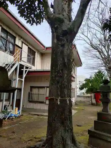 今井神社(千葉県)
