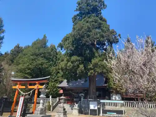 鼬幣稲荷神社のその他建物